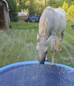 Tuesday Video: Summer Splash Pad