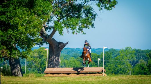 Thoroughbred Logic, Presented by Kentucky Performance Products: Figure It Out