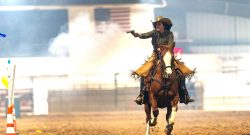 Reader Photo Challenge: Grade Horses