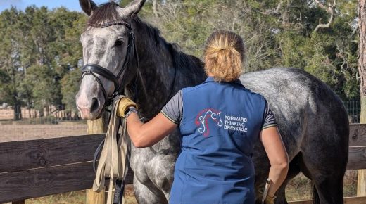 Training in the Right Way: The Need for the Trained Lesson Horse