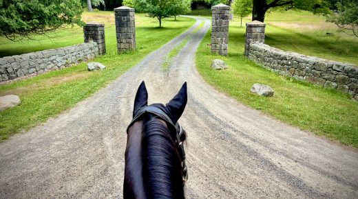 Thoroughbred Logic, Presented by Kentucky Performance Products: Challenging TBs and Going Beyond the Checked Box