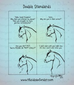 The Idea of Order: Double Standards…