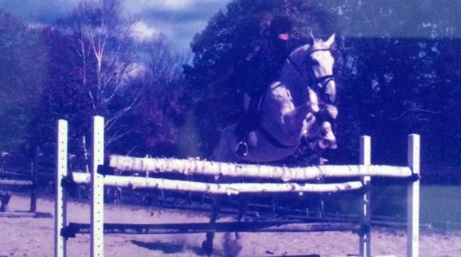 Training in the Right Way: “My Horse Hates Dressage.”