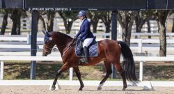 Reader Photo Challenge: Dressage Horses