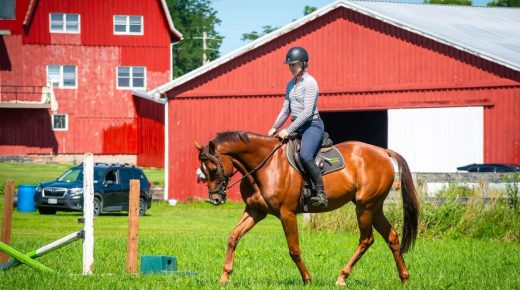 Thoroughbred Logic, Presented by Kentucky Performance Products: Good Diagnostics and Henny’s Story