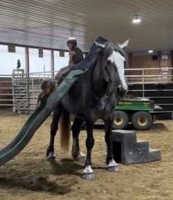 Tuesday Video: Draft Cross Daycare