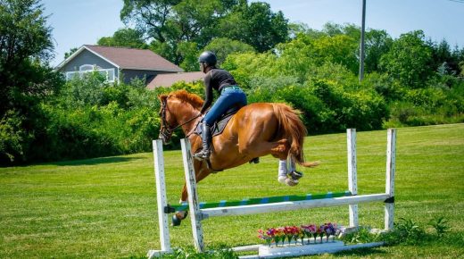 Thoroughbred Logic, Presented by Kentucky Performance Products: Abscess Season
