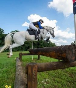 Reader Photo Challenge: Eventing Horses