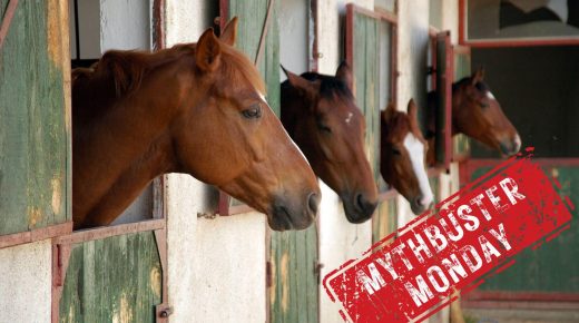 Mythbuster Monday: Performance Horses Shouldn’t Be Turned Out