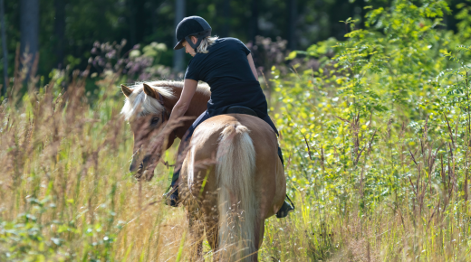 Ride a Horse to Learn How to (Gulp) Age