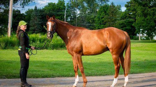 Kentucky Performance Products Presents Thoroughbred Logic: How to Kill a Sale