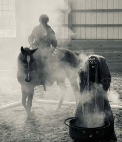 Reader Photo Challenge: Obstacle Horses
