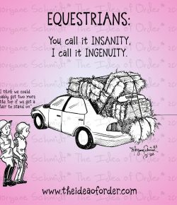 The Idea of Order: Insanity vs Ingenuity